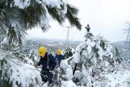 蘇皖因暴雪受損線路恢復供電