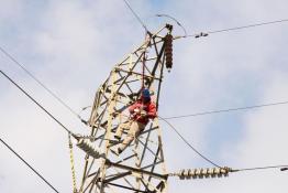 多舉措防鳥害 保電網安全