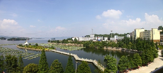 貴州電力職業技術學院簡介