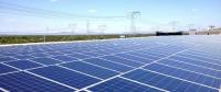 新能源發電成本很快將低于化石燃料