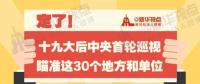 定了！華電集團、中核集團將接受十九屆中央第一輪巡視
