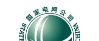 國家電網加快建設世界一流能源互聯網企業