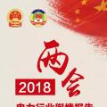 圖說｜兩會(huì)電力報(bào)告