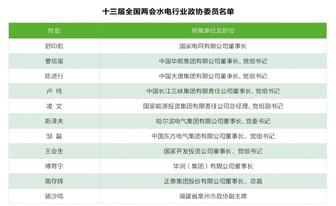 兩會觀察｜水電篇：消納難題何解？