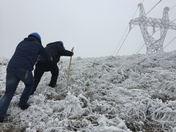  云南電網積極應對雨雪天氣確保電網安全