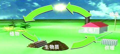 生物質是替代核電、火電 彌補天然氣缺口的一種重要新能源