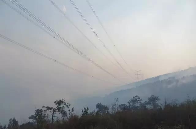 聽說最近輸電線路和鐵塔“火”啦！
