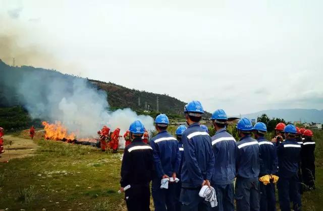聽說最近輸電線路和鐵塔“火”啦！