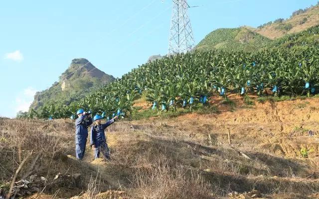聽說最近輸電線路和鐵塔“火”啦！