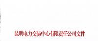 云南電力市場風險提示書（2018年2號）