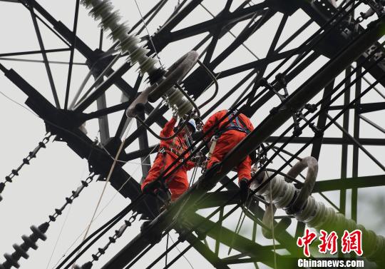 圖為電力工人在70多米高空作業(yè)，為特高壓復奉線重慶段進行八年來首次大修。　周毅 攝