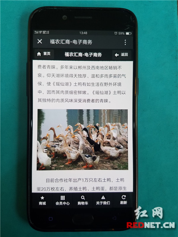 北湖區“互聯網+農業”助推農產品區域品牌建設