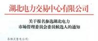 湖北首批準入的資產(chǎn)總額Top10售電公司名單