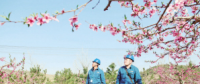 世界一流能源互聯網企業怎么建？國網已簽訂39個增量配電試點項目合作意向書