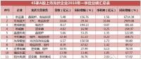 一季度45家光伏企業(yè)業(yè)績榜單登場：超八成飄紅，兩級分化現(xiàn)象嚴(yán)重