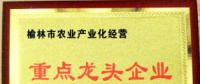 打造互聯(lián)網(wǎng)+農(nóng)產(chǎn)品領(lǐng)先品牌 帶動陜西農(nóng)業(yè)經(jīng)濟騰飛