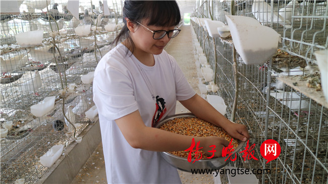 一個“80”后研究生的“綠色農(nóng)業(yè)夢”：用“互聯(lián)網(wǎng)+”思維做農(nóng)業(yè)，新型職業(yè)農(nóng)民“潮”起來