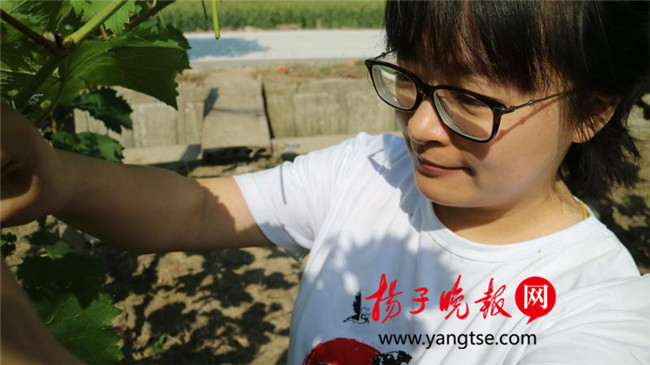 一個“80”后研究生的“綠色農(nóng)業(yè)夢”：用“互聯(lián)網(wǎng)+”思維做農(nóng)業(yè)，新型職業(yè)農(nóng)民“潮”起來