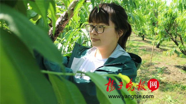 一個“80”后研究生的“綠色農(nóng)業(yè)夢”：用“互聯(lián)網(wǎng)+”思維做農(nóng)業(yè)，新型職業(yè)農(nóng)民“潮”起來
