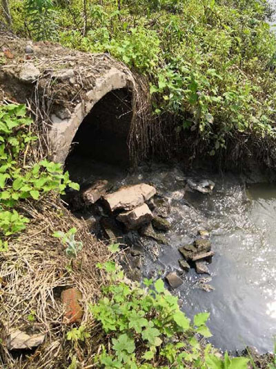 督查組：湖北省武漢市巡司河洪山區段黑臭現象依然嚴重