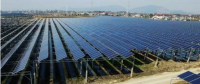 上面發電下面育苗 超3千畝荒山荒地變廢為寶