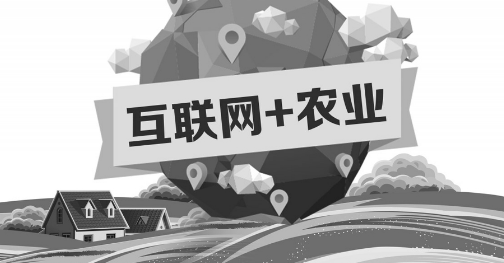 A5創(chuàng)業(yè)項目推薦：互聯(lián)網+農業(yè)能碰撞出怎樣的新發(fā)展？