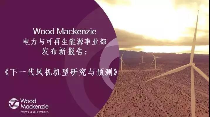 12-15MW+！歐洲“零補(bǔ)貼”海上風(fēng)場項目開發(fā)主要選型