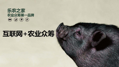 互聯網+農業眾籌只賺吆喝 利潤全被用戶拿走了？