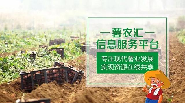 “互聯(lián)網(wǎng)+農(nóng)業(yè)”，創(chuàng)造農(nóng)村發(fā)展新活力
