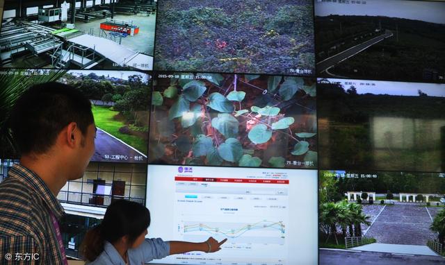 2018年農村電商巨頭卡位戰：互聯網+農業新玩法！