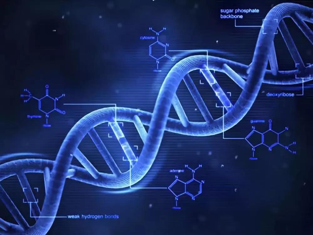 師法自然，仿生技術是如何改變世界的？