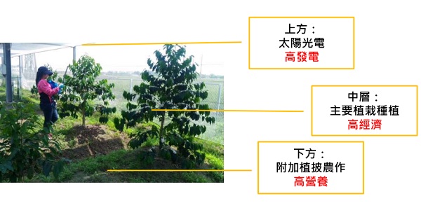 后補貼時代 “架高、一地多用”助力光伏平價上網