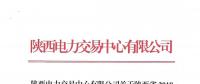 陜西電力交易中心有限公司關(guān)于陜西省2018年7月受理注冊及信息變更的售電公司公示結(jié)果的公告