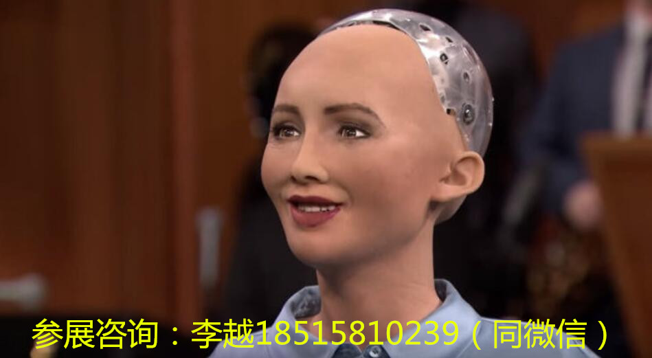 熱點(diǎn)探秘-2020南京人工智能展覽會(huì)人工智能黑科技