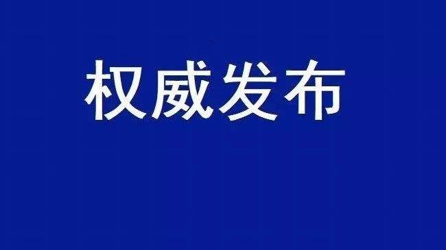 2020國民經濟和社會發展計劃草案：建設全國統一電力市場