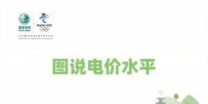 國家電網(wǎng)：圖說電價水平